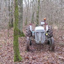 Avatar de l’utilisateur