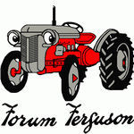 Logo Ferguson 3.jpg