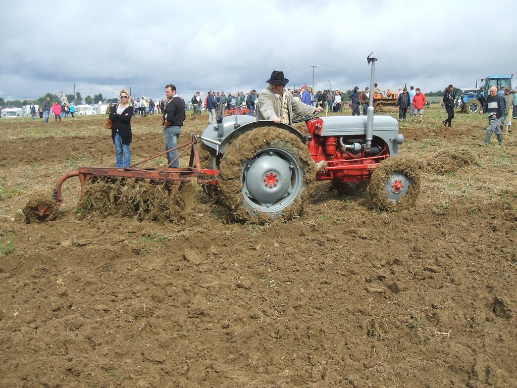 DSCF4740 2.jpg (1.25 Mio) Consulté 20945 fois DSCF4740 2.jpg