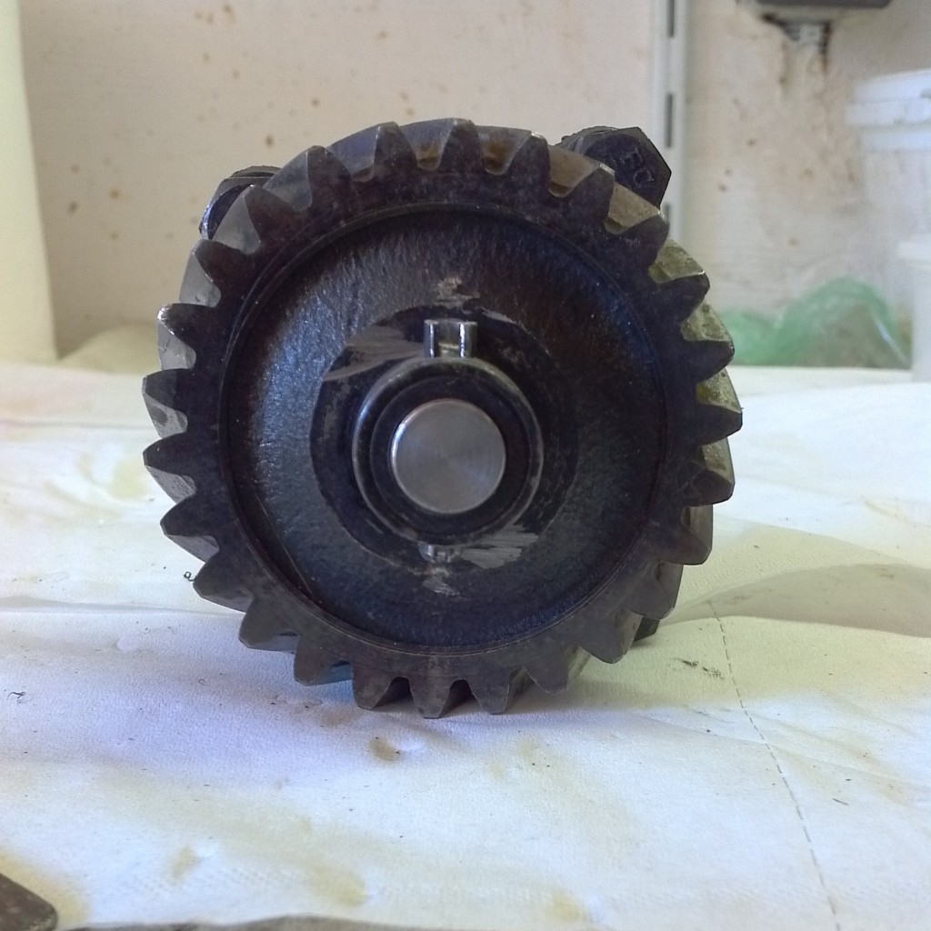 IMG_20130610_062114.jpg